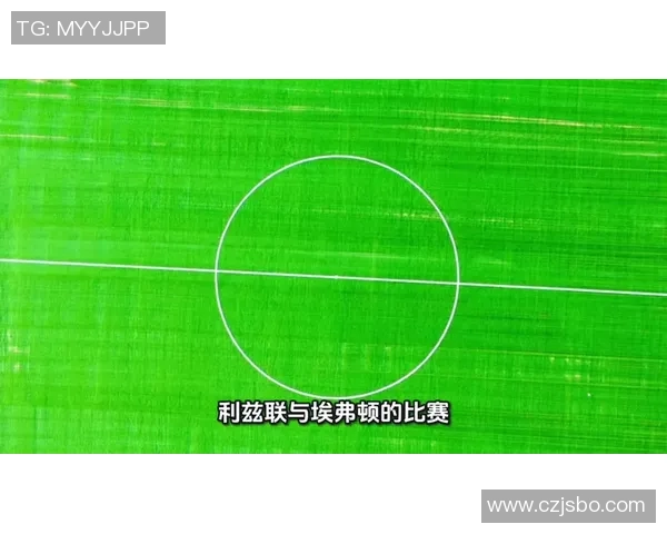 埃弗顿与利兹联比赛引发假球争议球迷怒斥操控足球公正性 埃弗顿与利兹联比赛引发假球争议球迷怒斥操控足球公正性