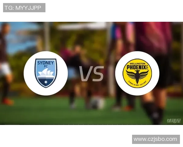 FC悉尼迎战惠灵顿凤凰争夺澳超联赛关键胜利之战 FC悉尼迎战惠灵顿凤凰争夺澳超联赛关键胜利之战