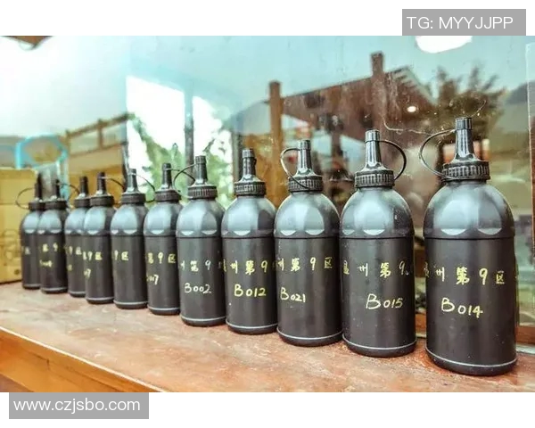 南京极限运动队反击战术深度分析与实战应用探讨