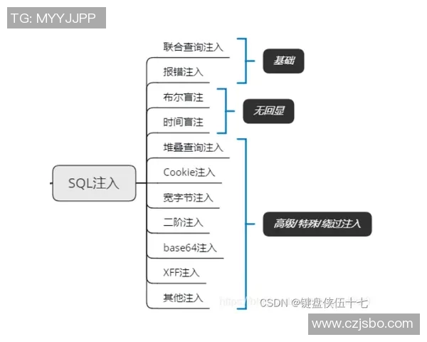 EDG战队反击策略深度分析与实战应用探讨